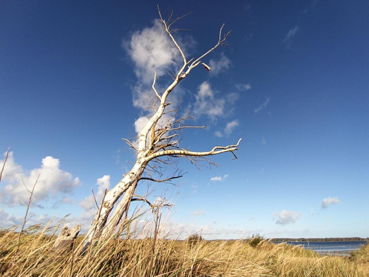 Ferienwohnung Strand25 Trassenheide Zewnętrze zdjęcie