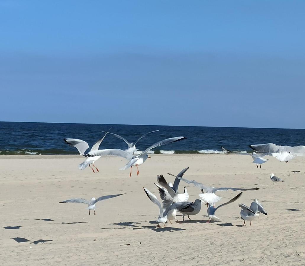 Ferienwohnung Strand25 Trassenheide Zewnętrze zdjęcie