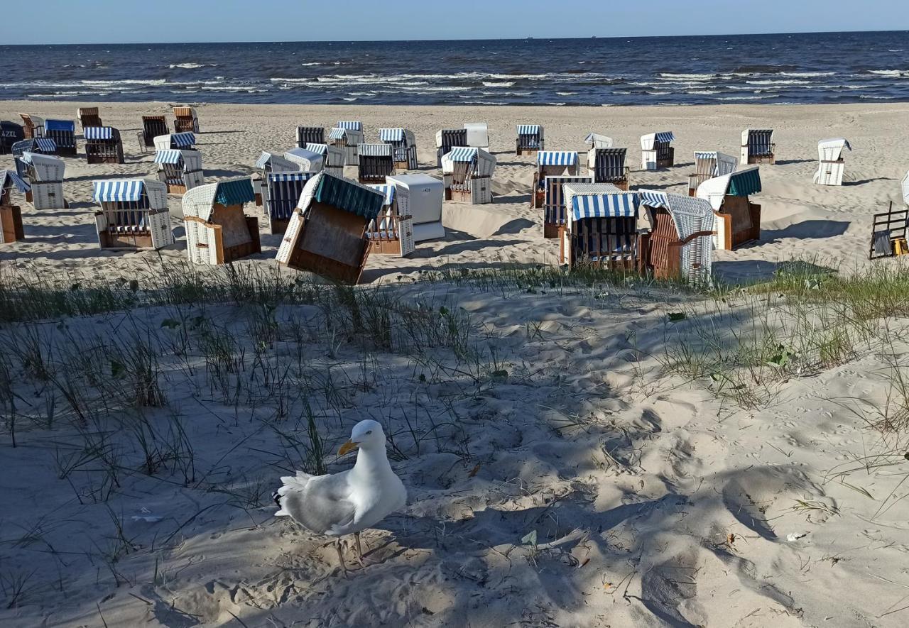 Ferienwohnung Strand25 Trassenheide Zewnętrze zdjęcie
